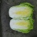 大白菜2~3斤净菜