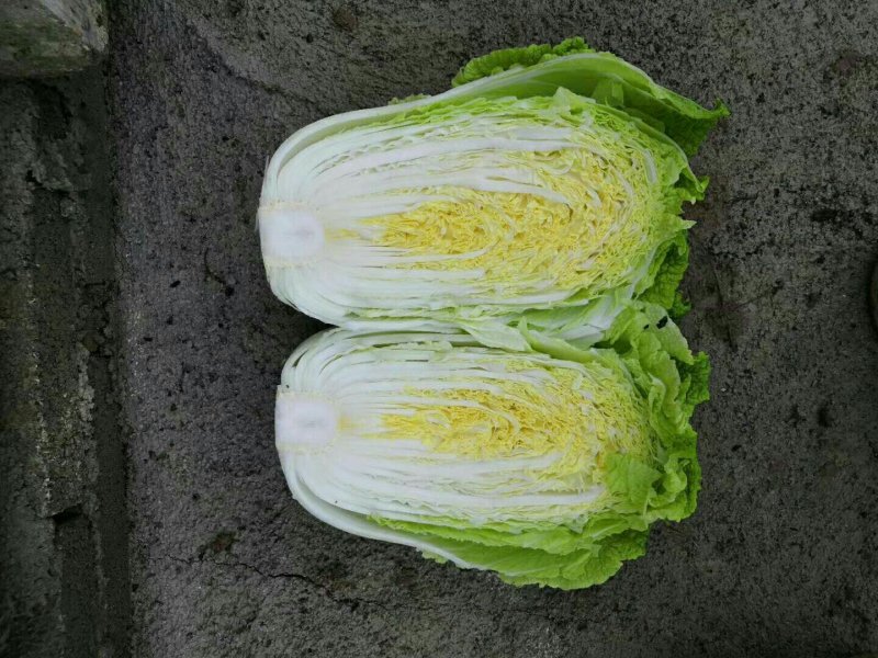 大白菜2~3斤净菜