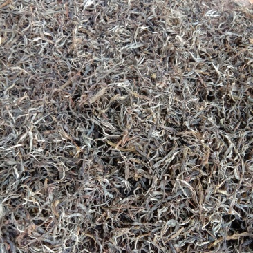 生态普洱茶散茶，也可以做饼茶