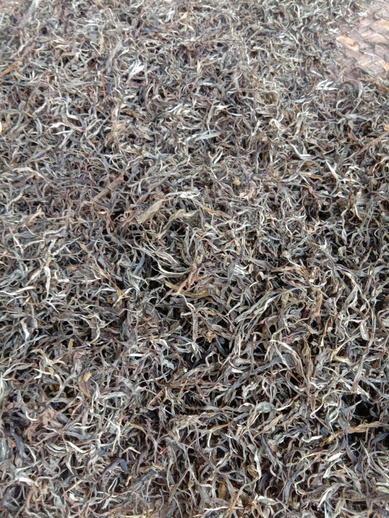 生态普洱茶散茶，也可以做饼茶