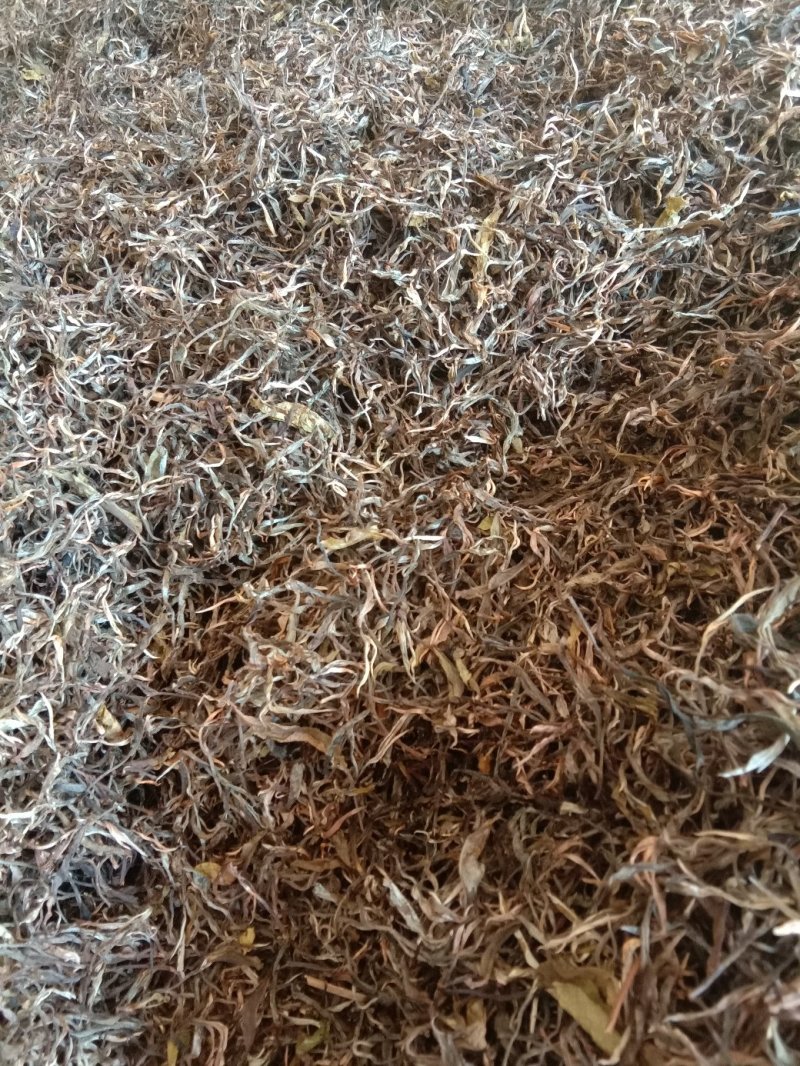 生态普洱茶散茶，也可以做饼茶