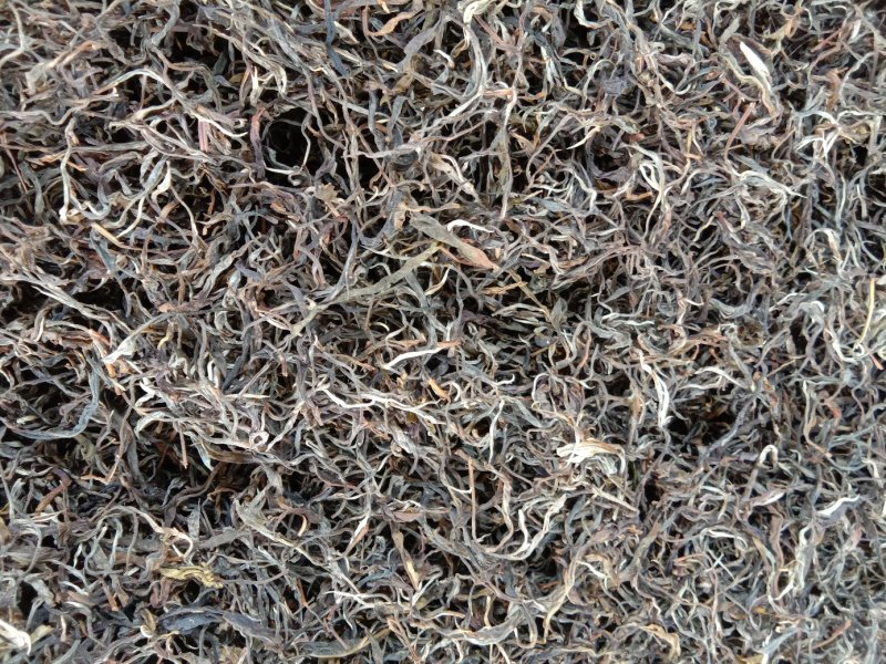 生态普洱茶散茶，也可以做饼茶