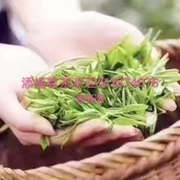 汉中绿茶
