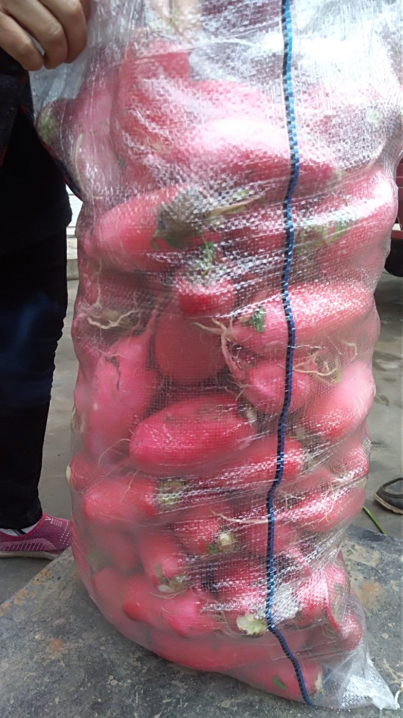 基地精品红皮萝卜，半斤以上，无裂无叉，质量保证