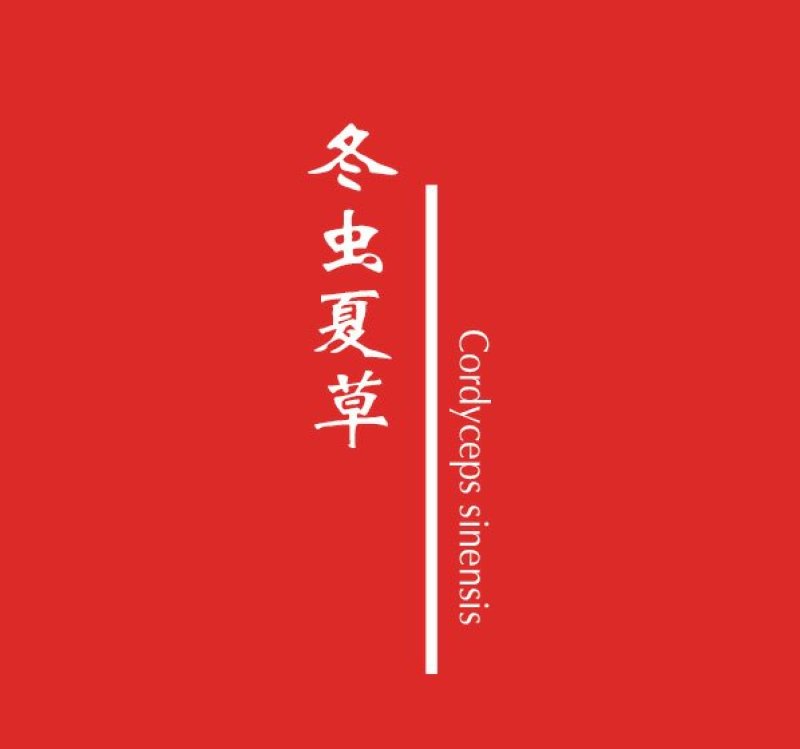 冬虫夏草