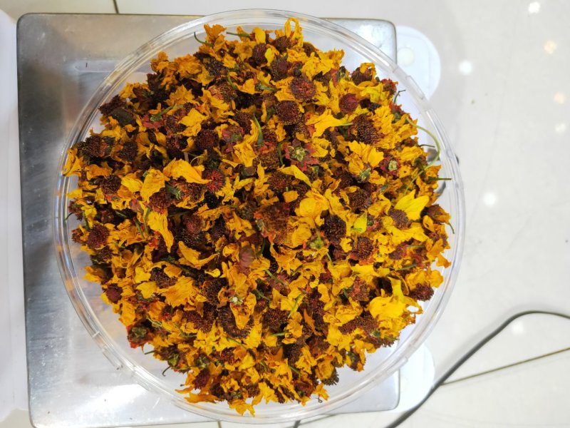 昆仑雪菊