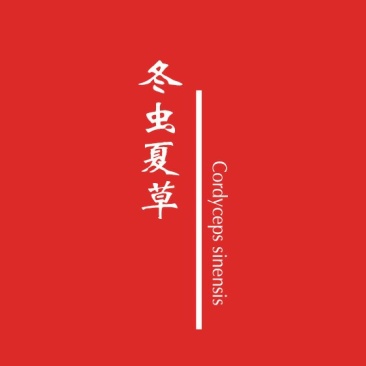 冬虫夏草