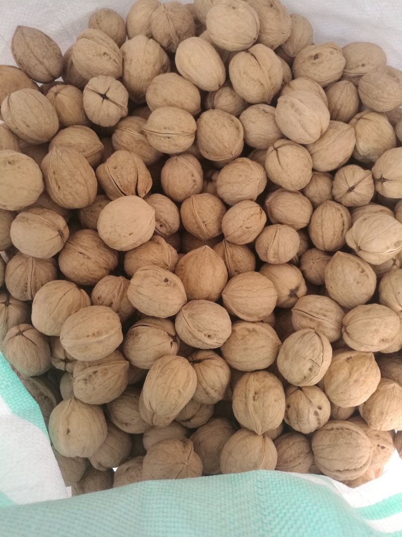 阿克苏温185纸皮核桃/原产地直发