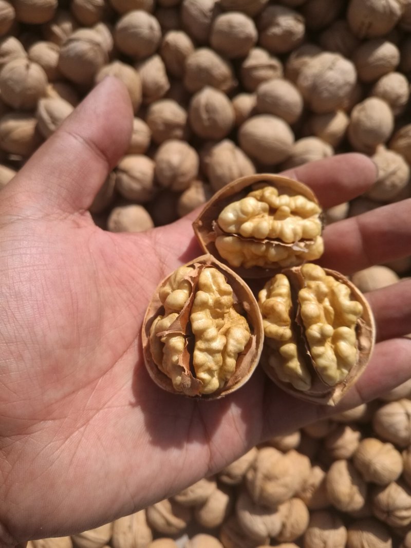 阿克苏温185纸皮核桃/原产地直发