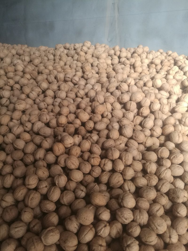 阿克苏温185纸皮核桃/原产地直发