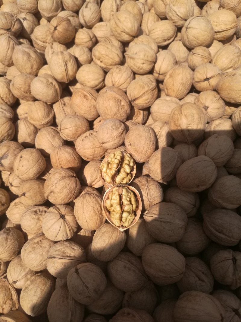 阿克苏温185纸皮核桃/原产地直发