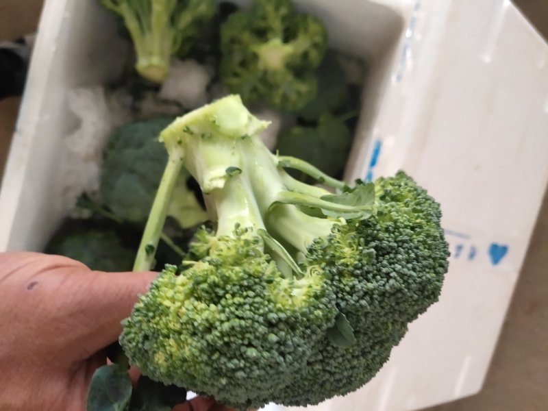 西兰花