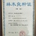 杉树苗一年苗良种苗生长速度快成材率高