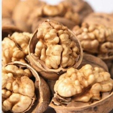 薄皮核桃