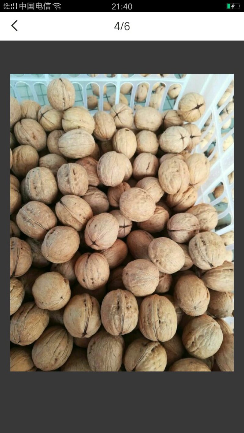 薄皮核桃
