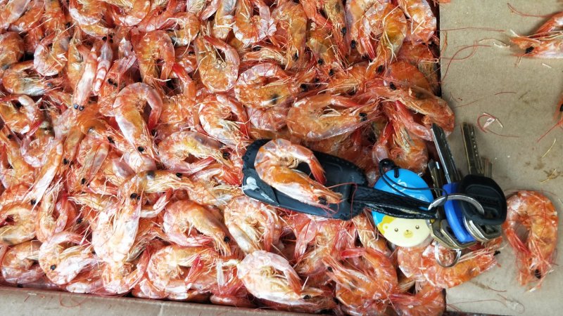 对虾干，好吃可口对虾