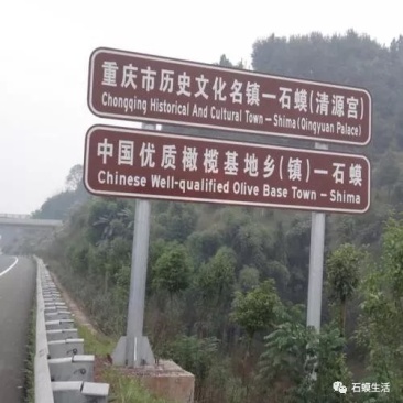 优质橄榄