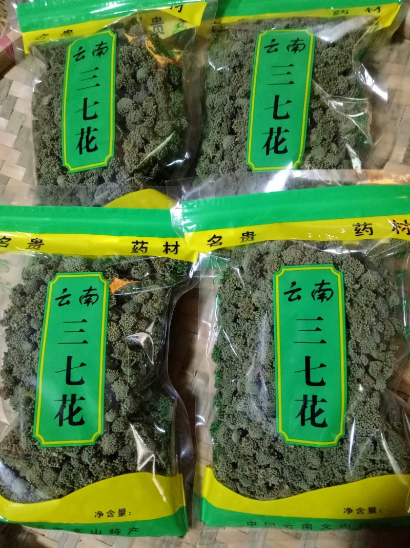 三七花