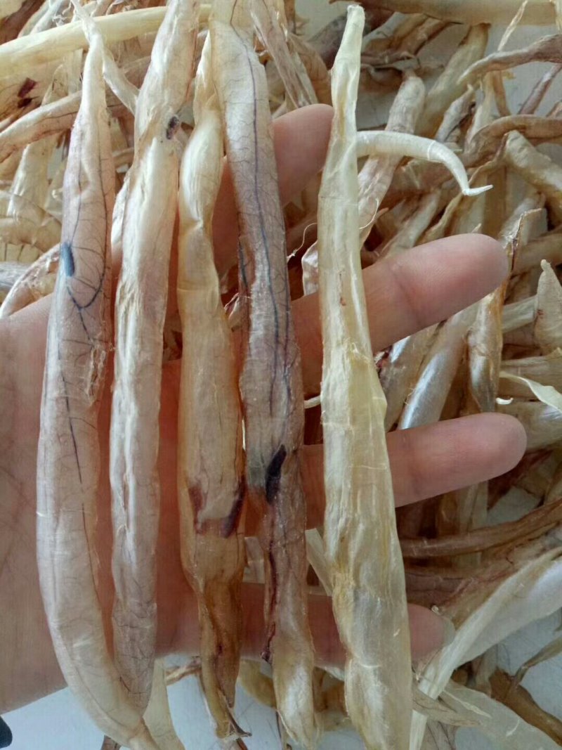 野生小膳胶