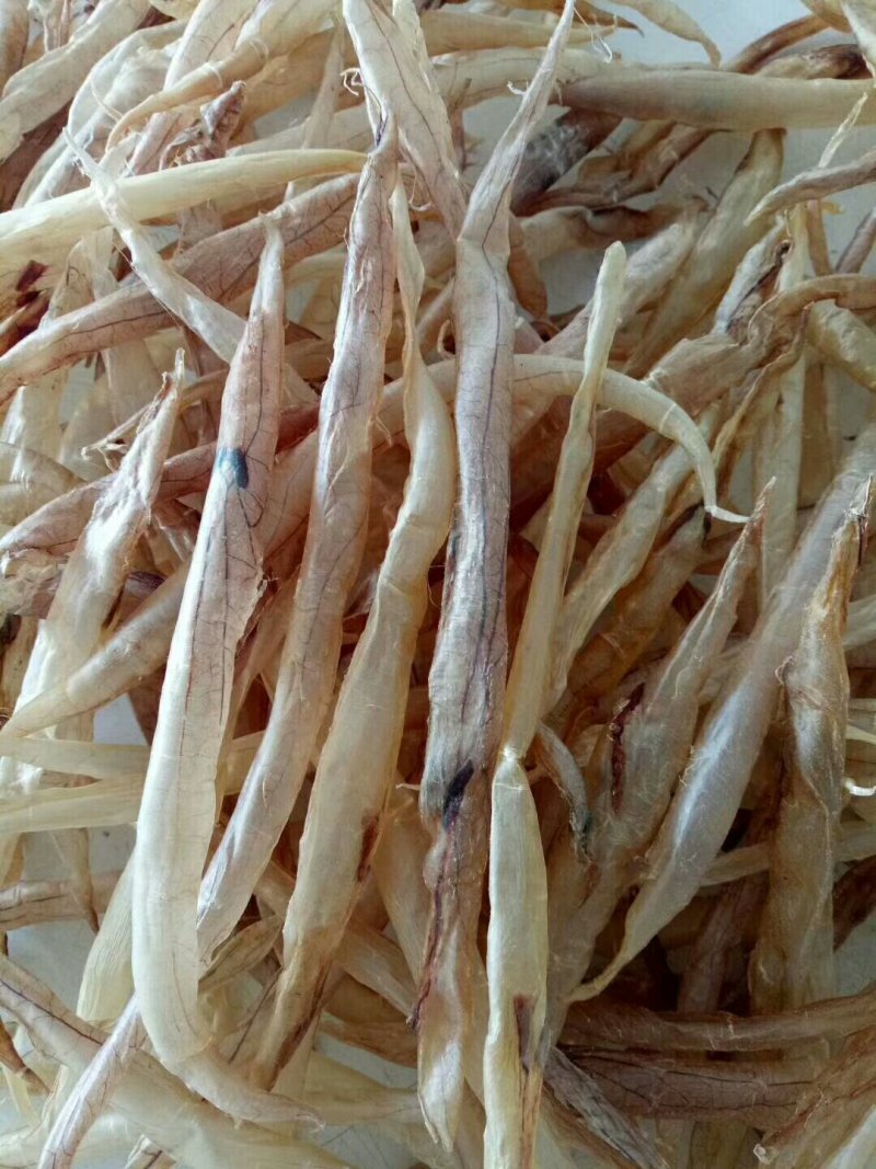 野生小膳胶