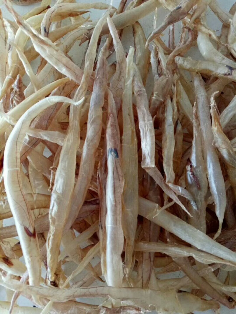 野生小膳胶