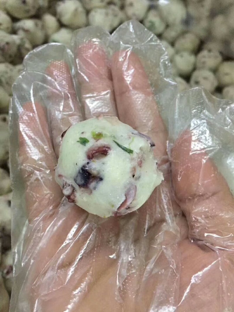 墨鱼鱿鱼