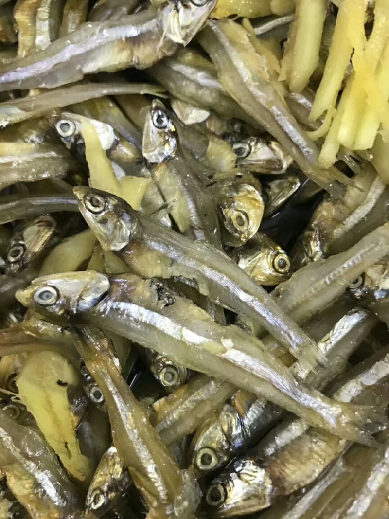 白饭鱼