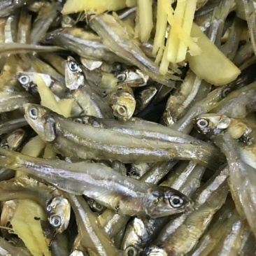 白饭鱼