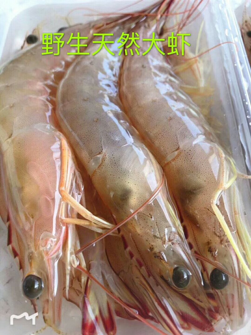 大虾