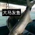天然马友
