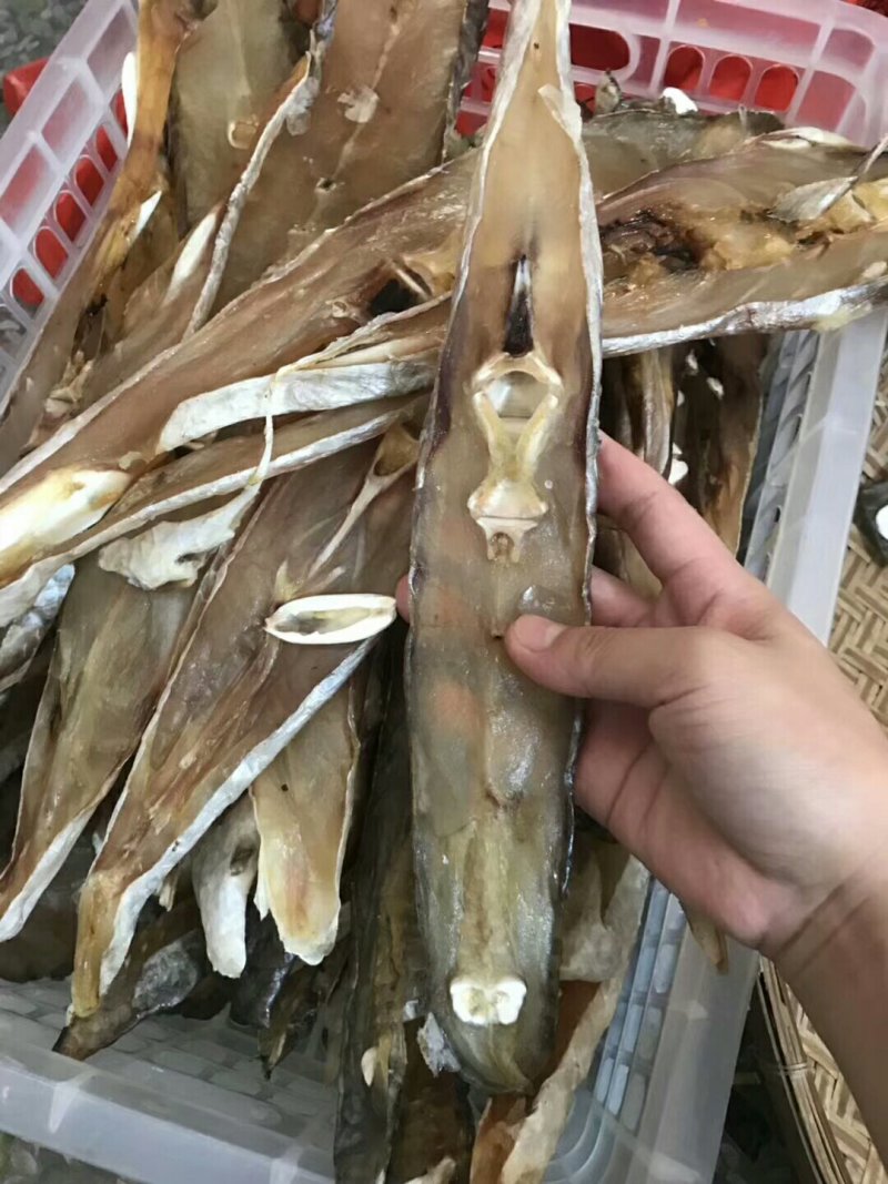 天然马友