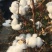 优质棉花