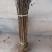 花椒苗，大红袍花椒苗，无刺花椒苗，大量出售。