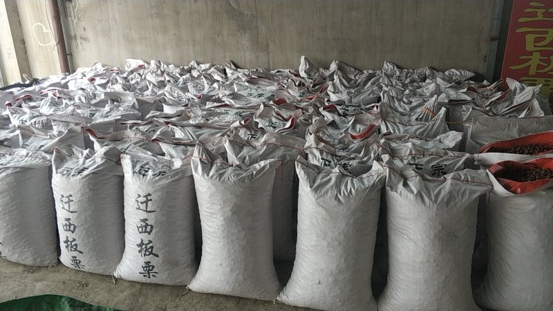 迁西板栗小粒2023年新板栗原产地发货包邮