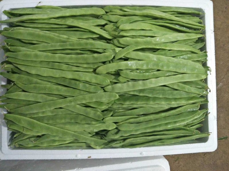 蔬菜