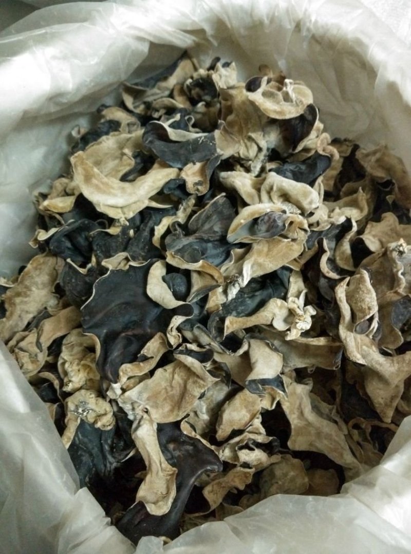 江苏丰县毛木耳产地直销