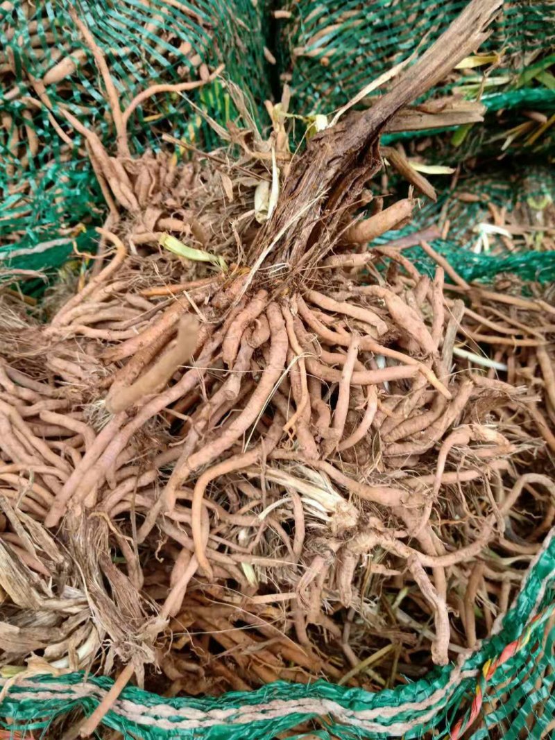 【优选】精品黄花菜/湖南黄花菜/产地货源/来电商谈