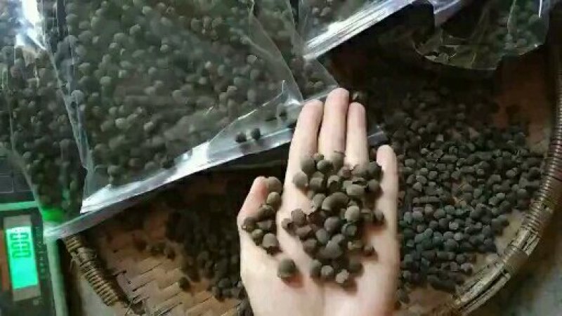 稔子干产地直销品质保证价格优惠欢迎选购