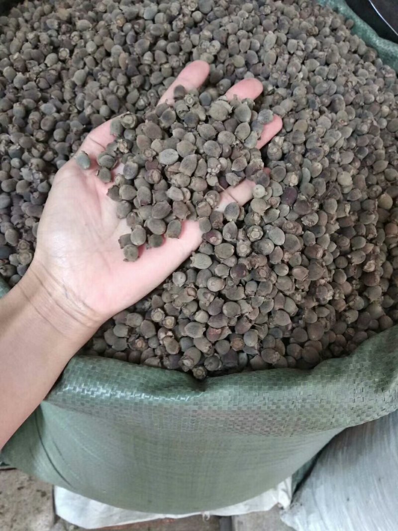 稔子干产地直销品质保证价格优惠欢迎选购