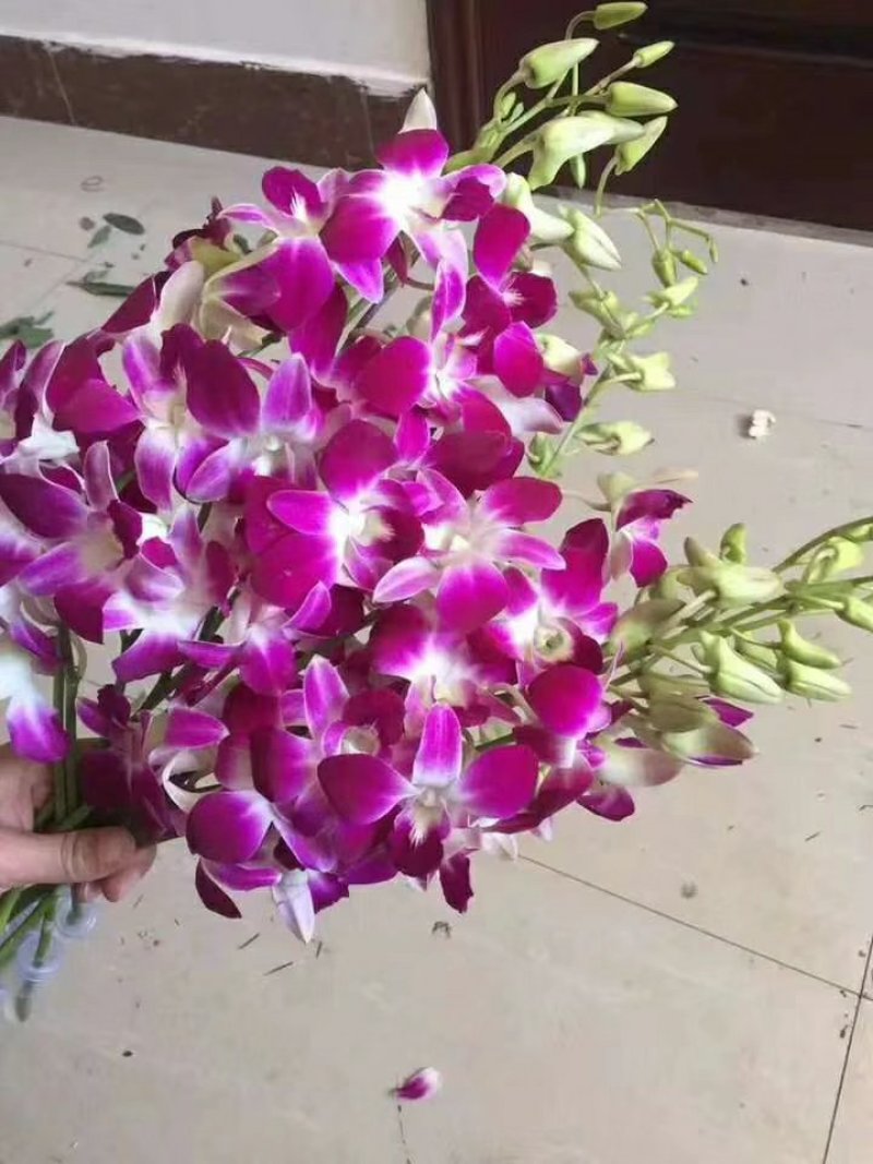 云南鲜切花批发，百合花，玫瑰花配草配花