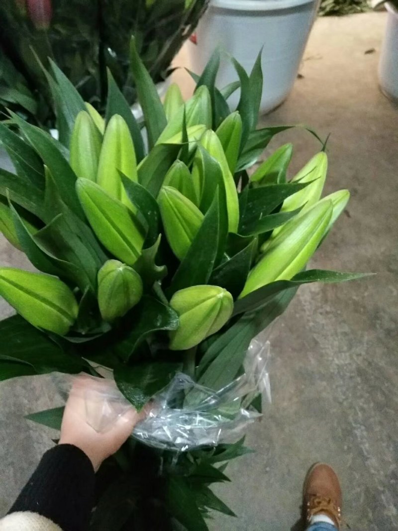 云南鲜切花批发，百合花，玫瑰花配草配花