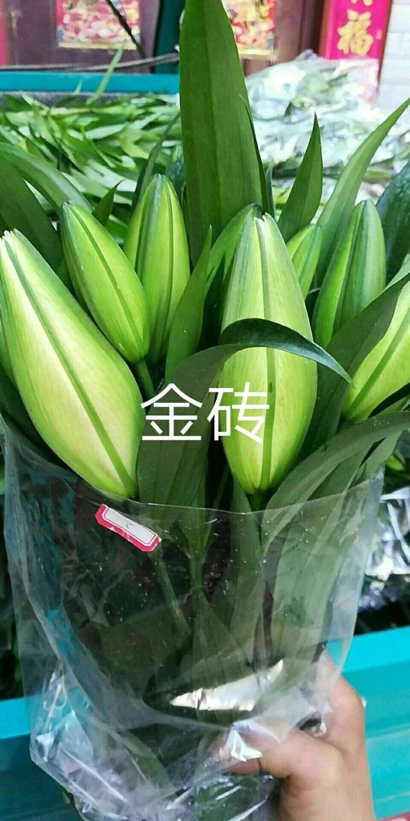 云南鲜切花批发，百合花，玫瑰花配草配花