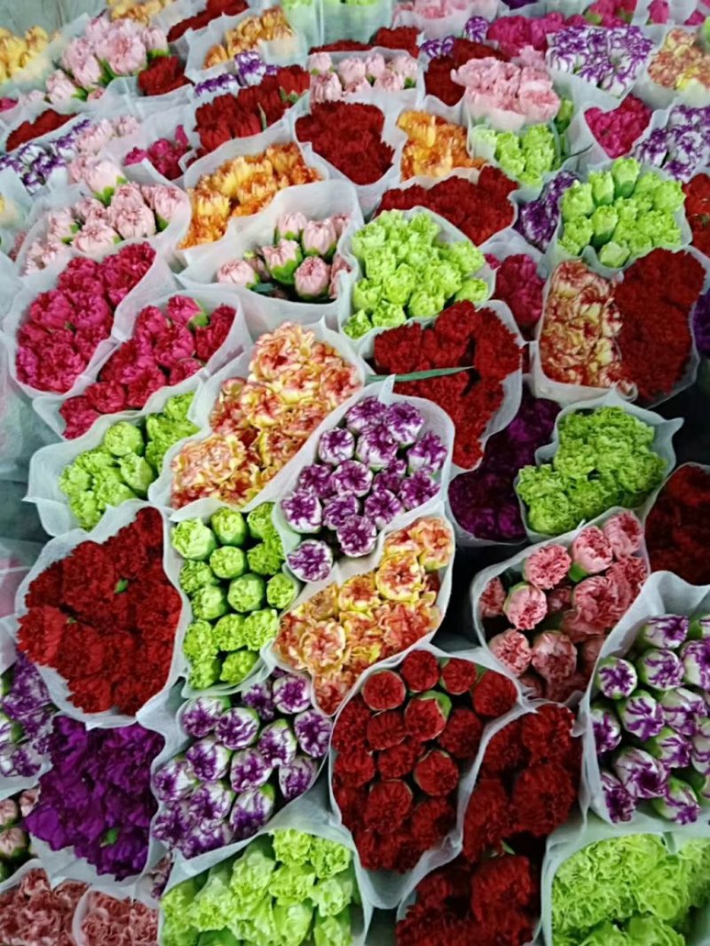 云南鲜切花批发，百合花，玫瑰花配草配花