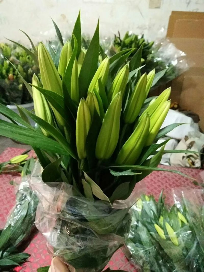 云南鲜切花批发，百合花，玫瑰花配草配花