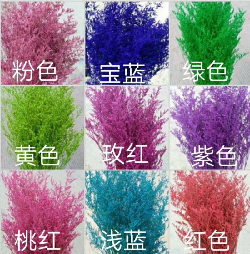 云南鲜切花批发，百合花，玫瑰花配草配花