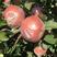 潍坊红富士苹果大量上市，口感表光一流，质优价廉欢迎下单