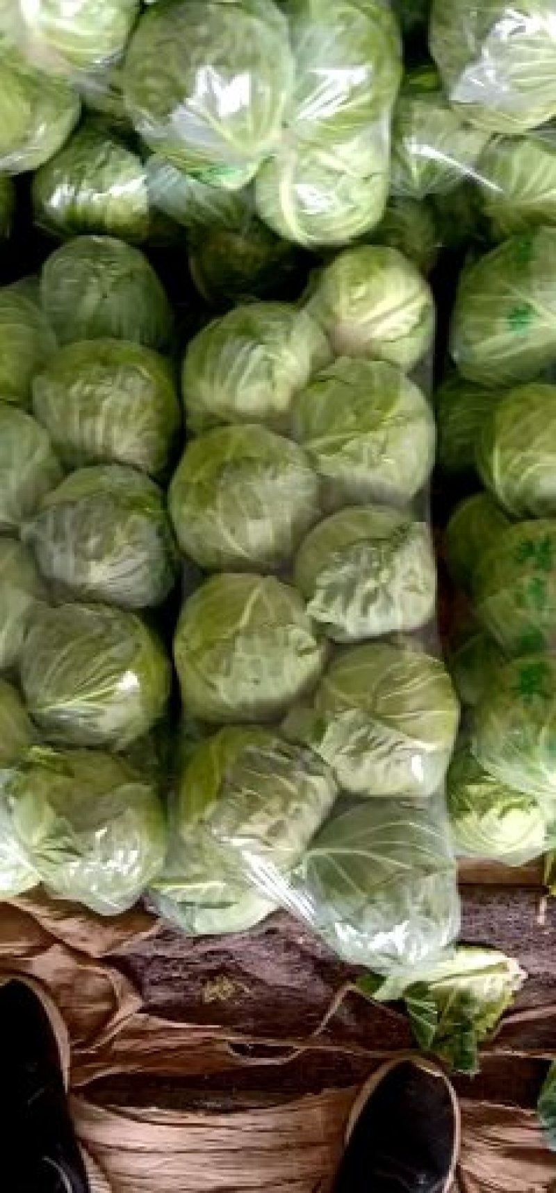 甘蓝大量上市，色泽绿，个体匀，口感佳，球体圆