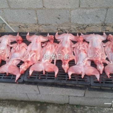 白肉兔条