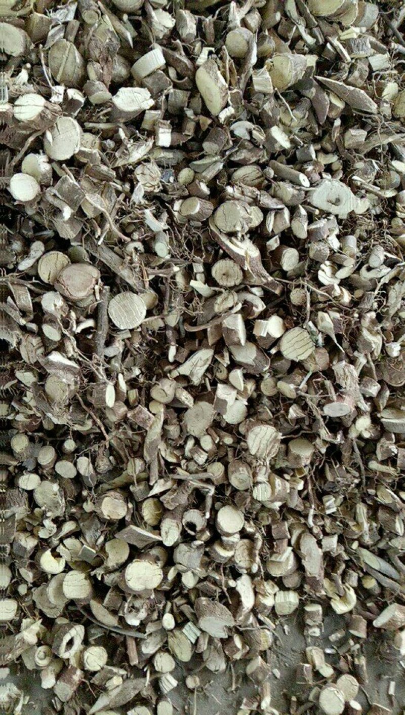 中药材八角枫须茎片