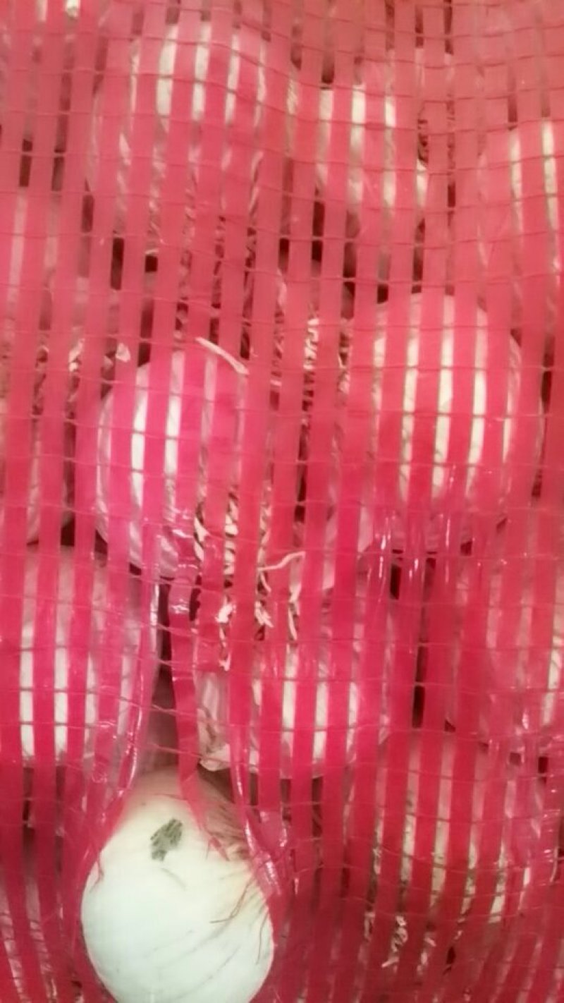 独头